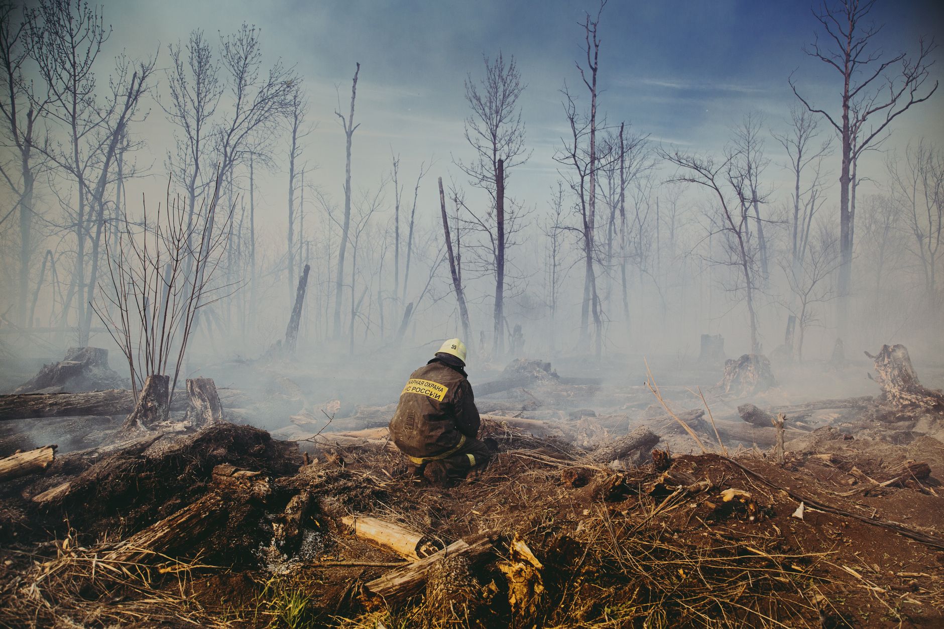 Bruce Hensel on Resilience After the Palisades Fire