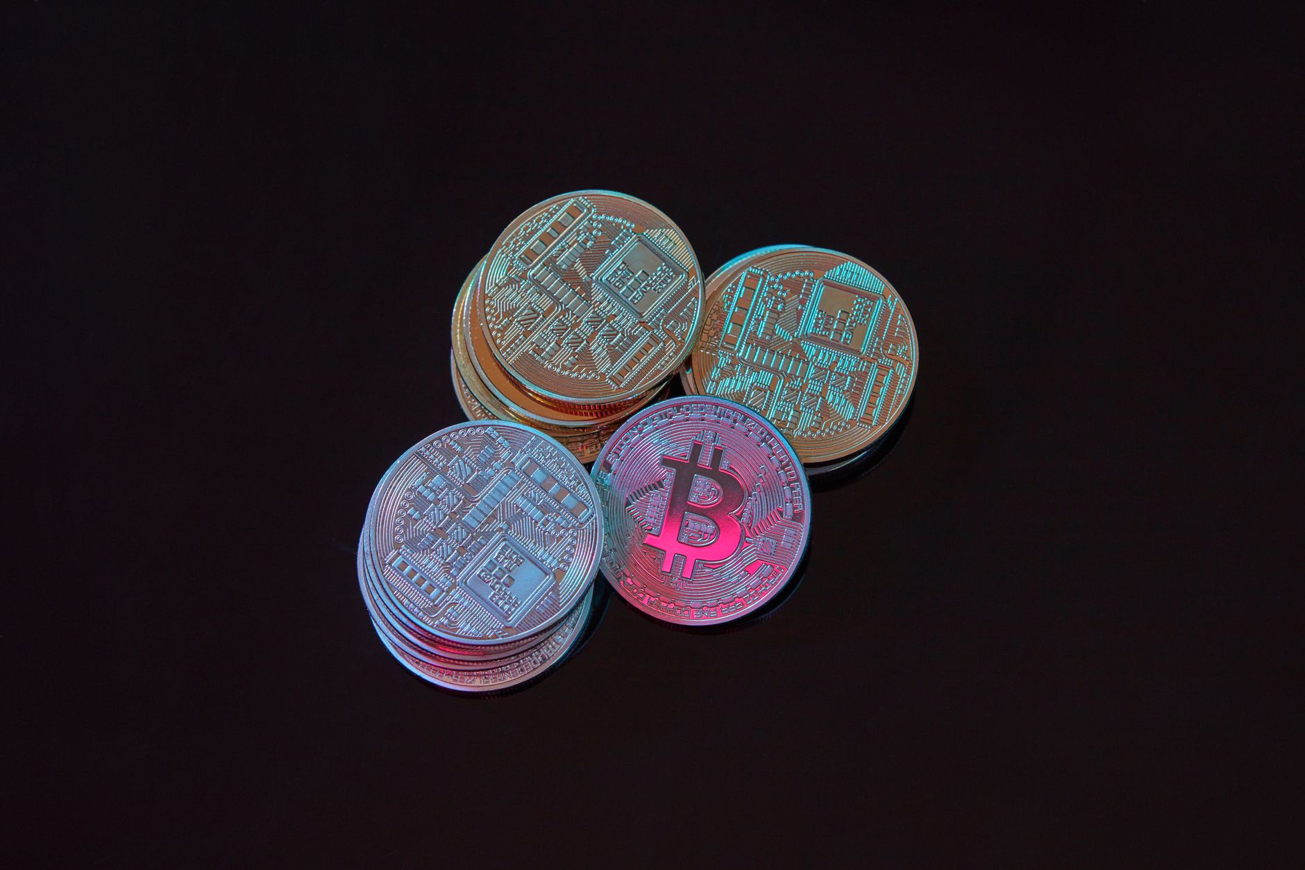 How Shiro Neko Crypto Stands Out in the Market