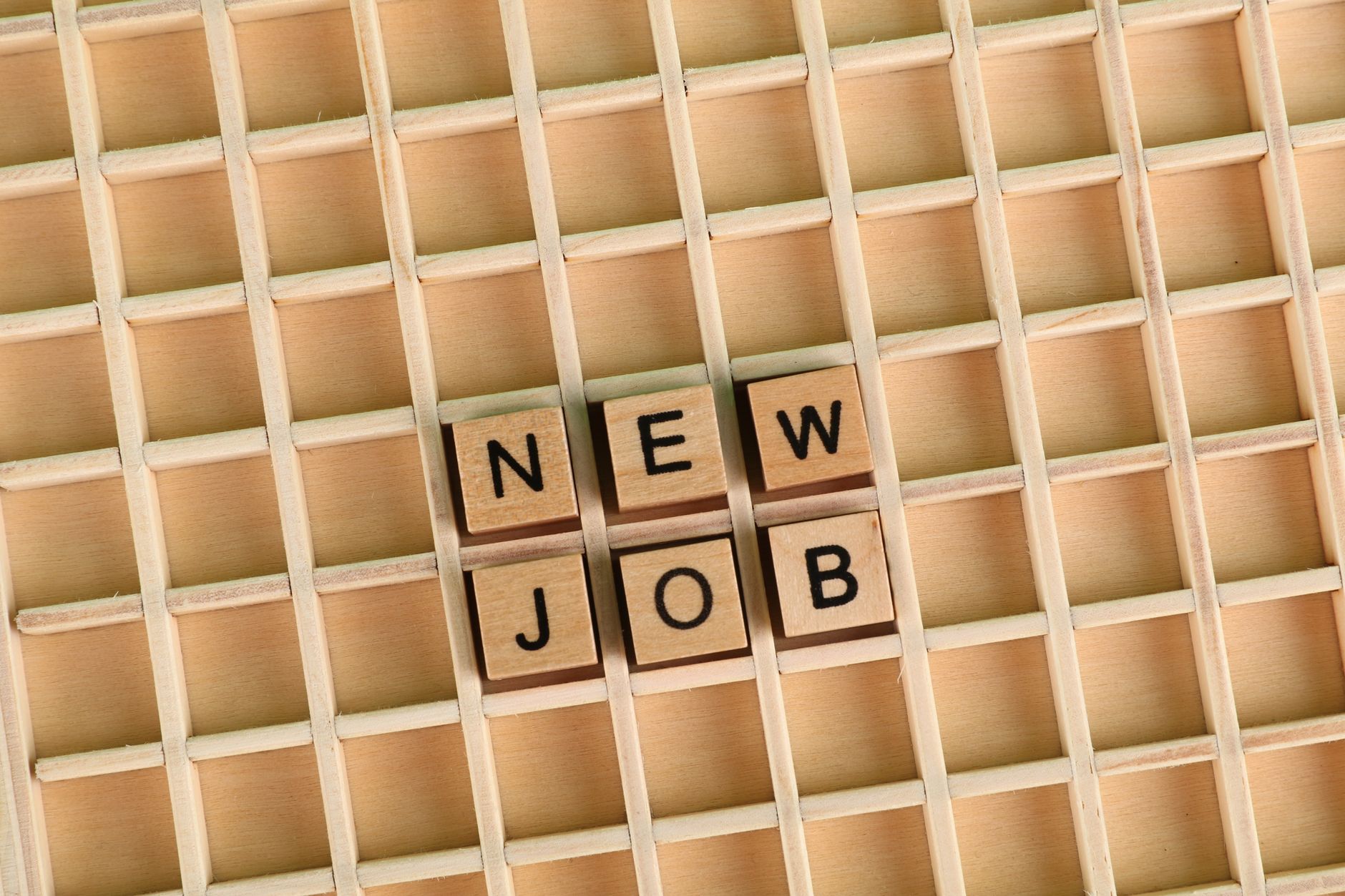 IIT Roorkee job market